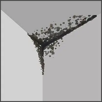 Boynton Beach Restoration Company Boynton Beach, FL 561-303-0292 - mold-removal-01