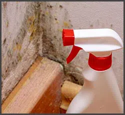 Boynton Beach Restoration Company Boynton Beach, FL 561-303-0292 - mold-removal-02