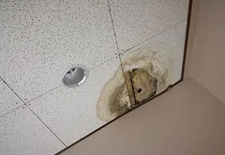 Boynton Beach Restoration Company Boynton Beach, FL 561-303-0292 Boynton Beach Restoration Company Boynton Beach, FL 561-303-0292 - palm-beach-county