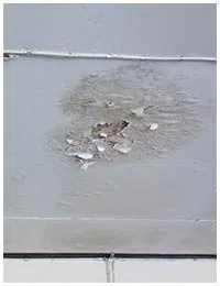 Boynton Beach Restoration Company Boynton Beach, FL 561-303-0292 Boynton Beach Restoration Company Boynton Beach, FL 561-303-0292 - sidebar-01