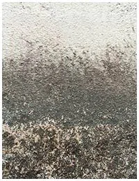 Boynton Beach Restoration Company Boynton Beach, FL 561-303-0292 Boynton Beach Restoration Company Boynton Beach, FL 561-303-0292