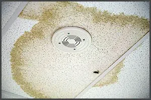 Boynton Beach Restoration Company Boynton Beach, FL 561-303-0292 Boynton Beach Restoration Company Boynton Beach, FL 561-303-0292 - water-leaks-01